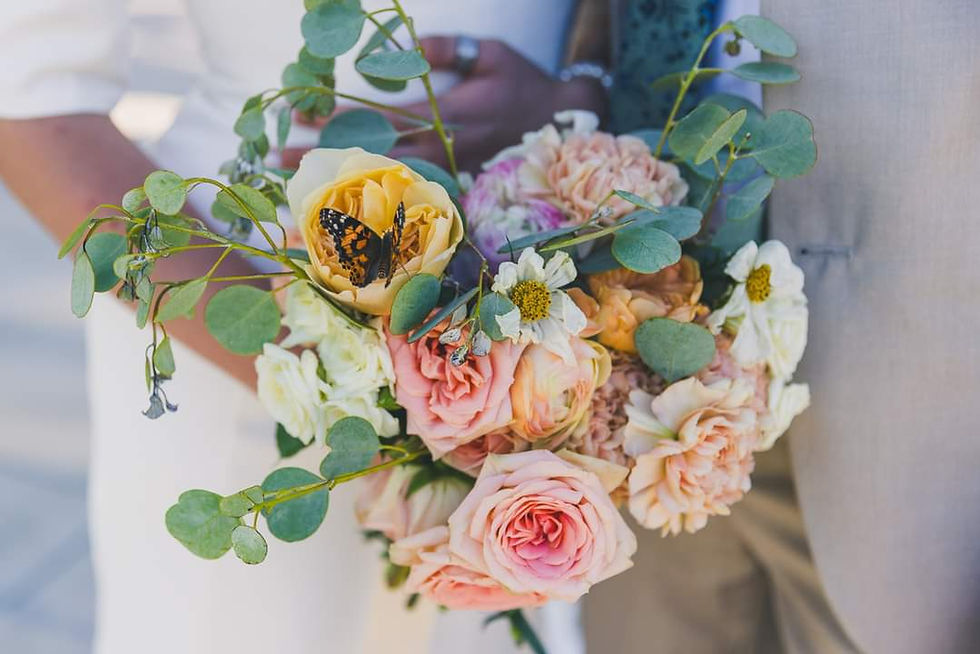 Wedding Report